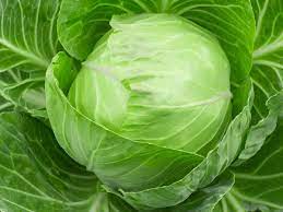 Cabbage - Sold Per Pound - FarmingUp organic cabbage, buying organic vegetables online, farmers market near me, roundgreen cabbage online, organic cabbage price, healthy vegetables, organic vegetables online, home delivery of organic vegetables